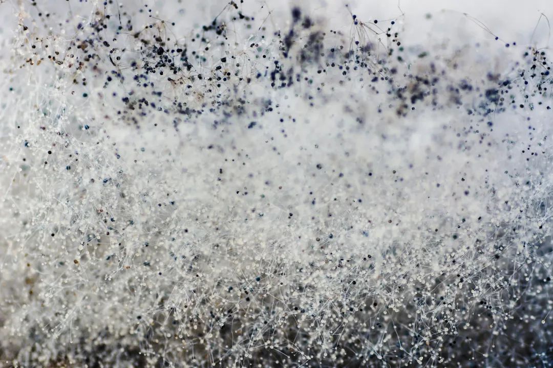 开水烫餐具真的能消毒吗？不烫会有多脏？终于知道答案了休闲区蓝鸢梦想 - Www.slyday.coM