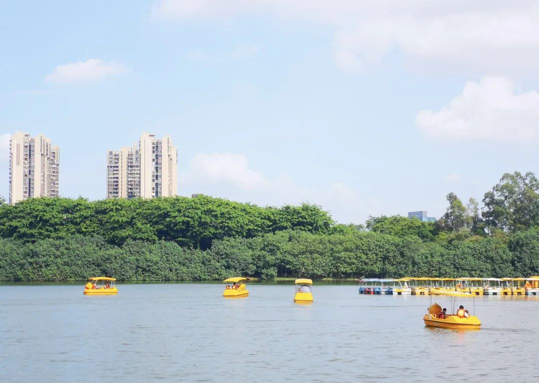 国庆假期，他们的过法有点特别……休闲区蓝鸢梦想 - Www.slyday.coM