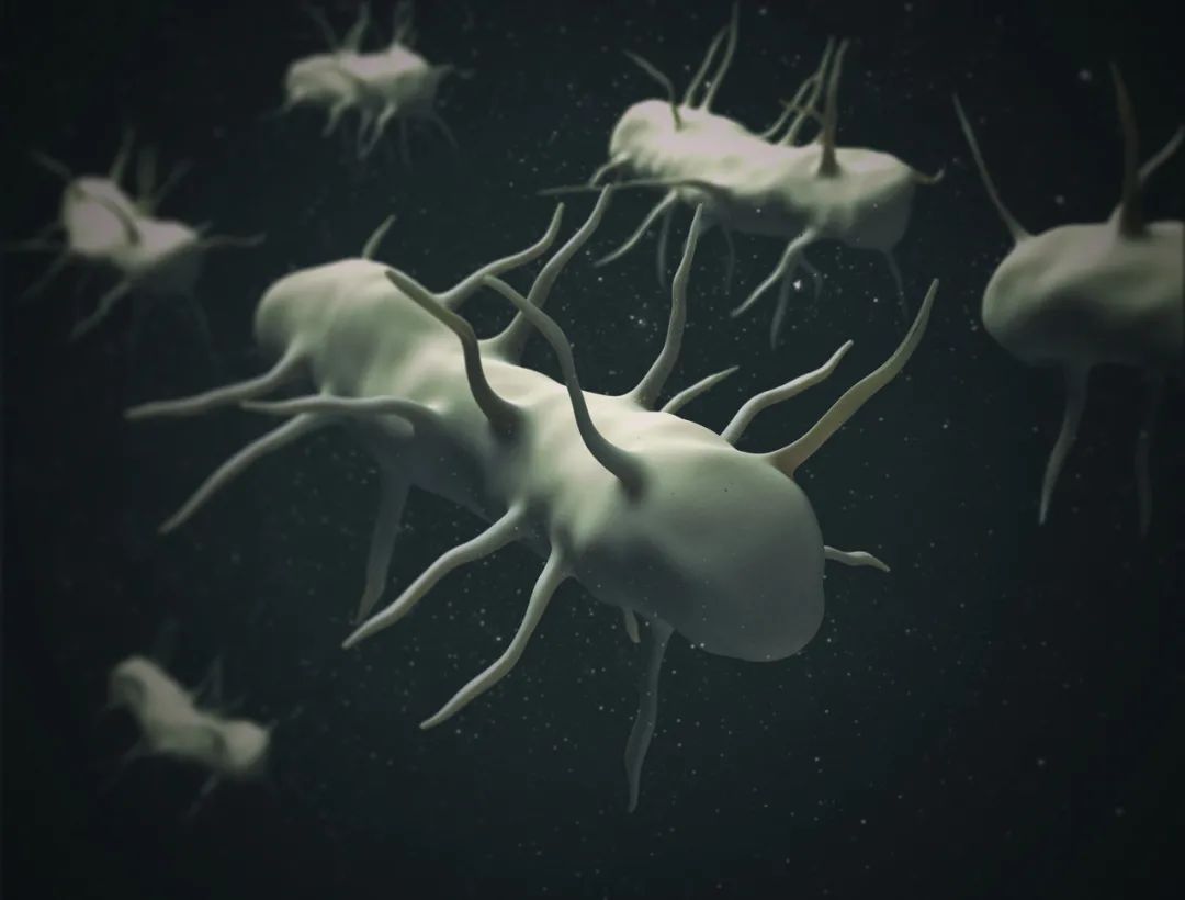 开水烫餐具真的能消毒吗？不烫会有多脏？终于知道答案了休闲区蓝鸢梦想 - Www.slyday.coM