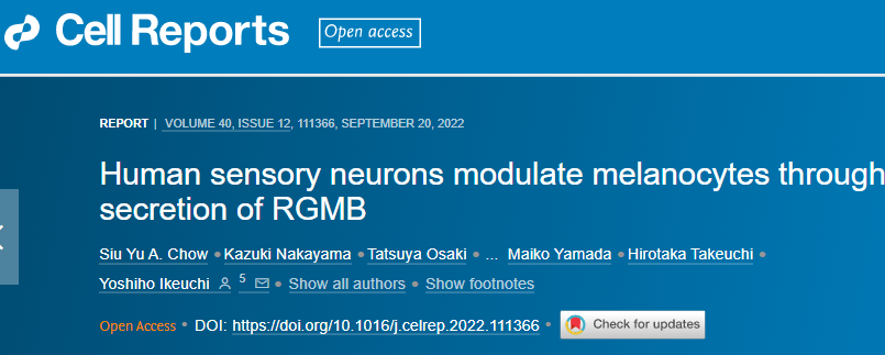 皮肤黑的原因找到了！可能是感觉神经细胞的“锅”休闲区蓝鸢梦想 - Www.slyday.coM
