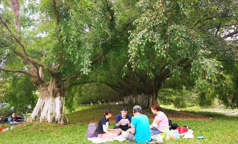 国庆假期，他们的过法有点特别……休闲区蓝鸢梦想 - Www.slyday.coM