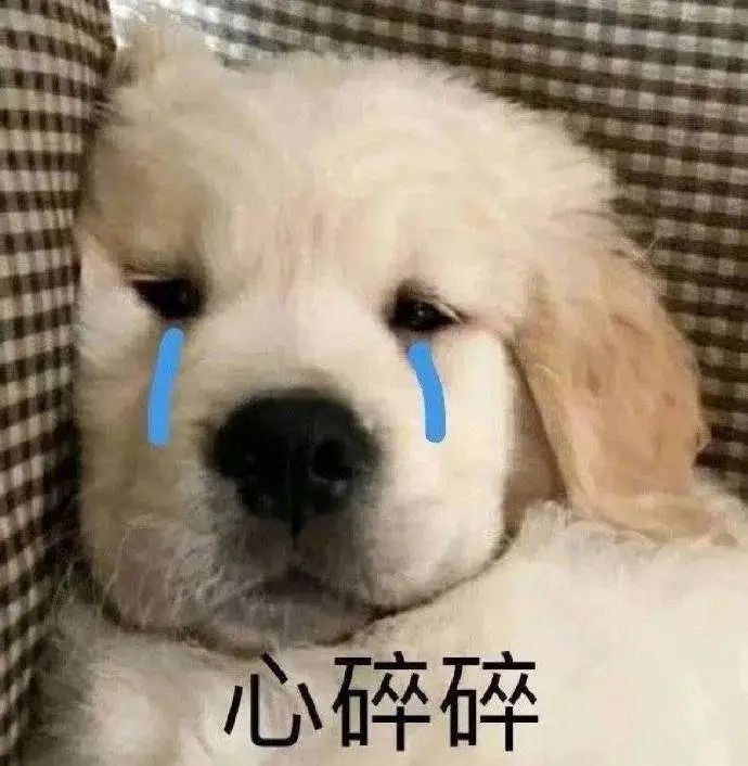 上大学的你，谈恋爱了吗?休闲区蓝鸢梦想 - Www.slyday.coM