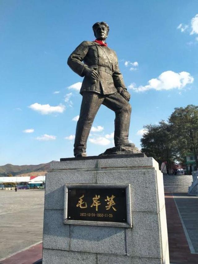 重生之生如夏花