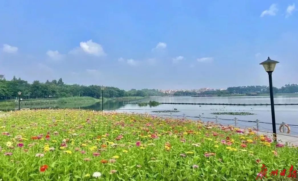 国庆假期，他们的过法有点特别……休闲区蓝鸢梦想 - Www.slyday.coM