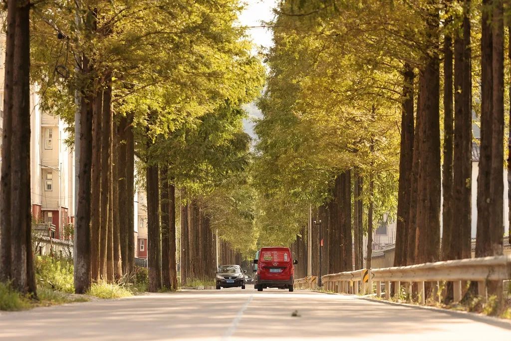 悦享宁波｜在奉化，赴一场与秋天的约会休闲区蓝鸢梦想 - Www.slyday.coM