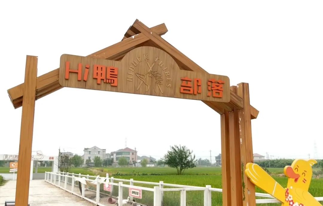 装上了“智慧大脑”的未来乡村是什么模样……今天，带你领略临浦镇“柿子”文化的别样魅力！休闲区蓝鸢梦想 - Www.slyday.coM