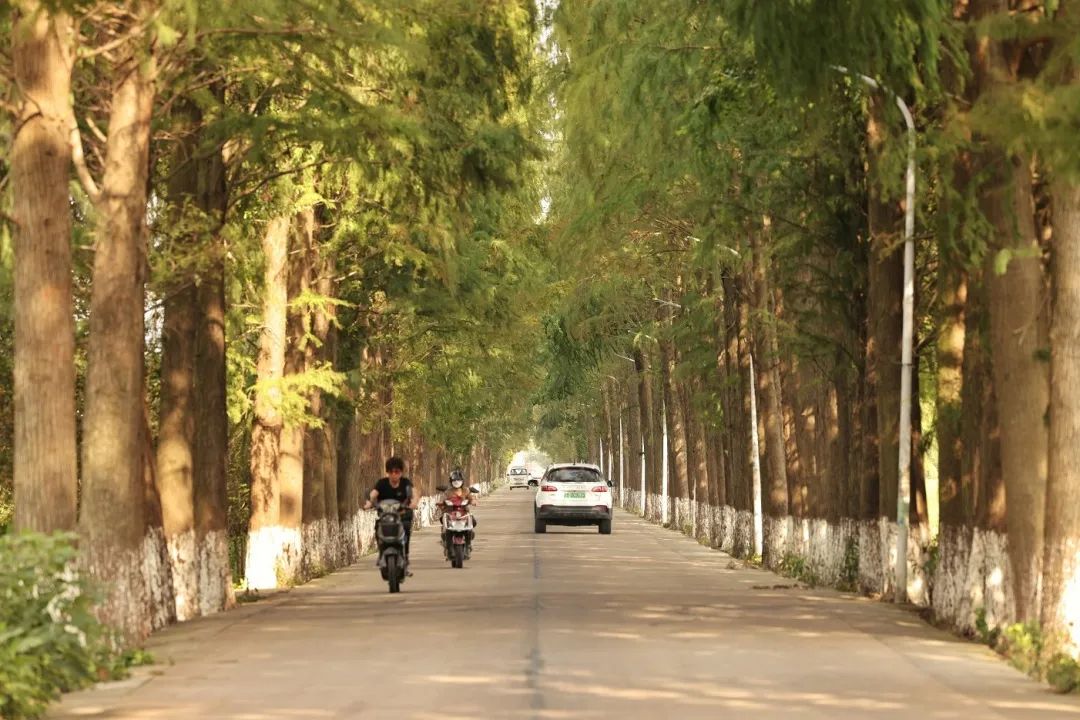 悦享宁波｜在奉化，赴一场与秋天的约会休闲区蓝鸢梦想 - Www.slyday.coM