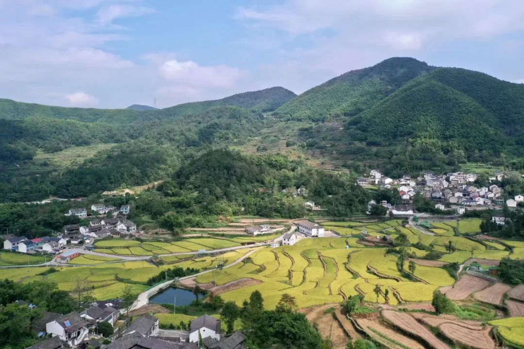 悦享宁波｜在奉化，赴一场与秋天的约会休闲区蓝鸢梦想 - Www.slyday.coM