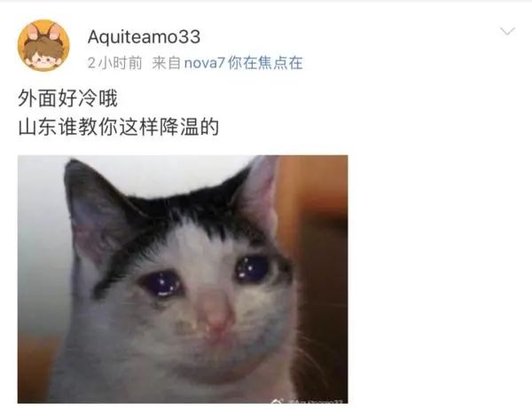 山东冷成了山冻！最低4℃！断崖式降温+大风持续进行！休闲区蓝鸢梦想 - Www.slyday.coM