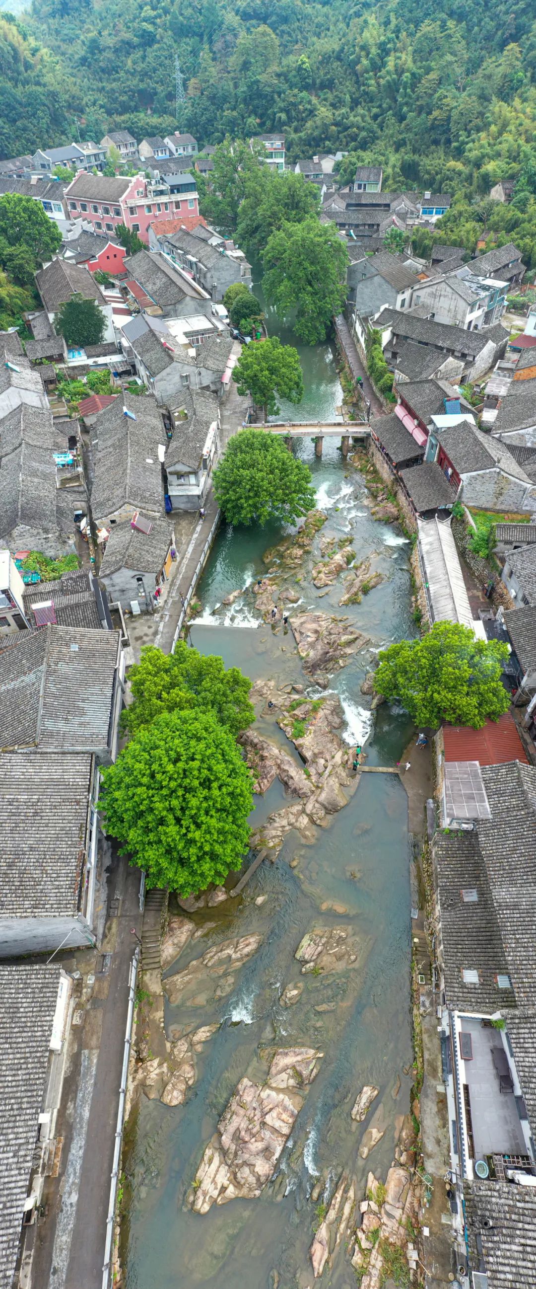 悦享宁波｜在奉化，赴一场与秋天的约会休闲区蓝鸢梦想 - Www.slyday.coM