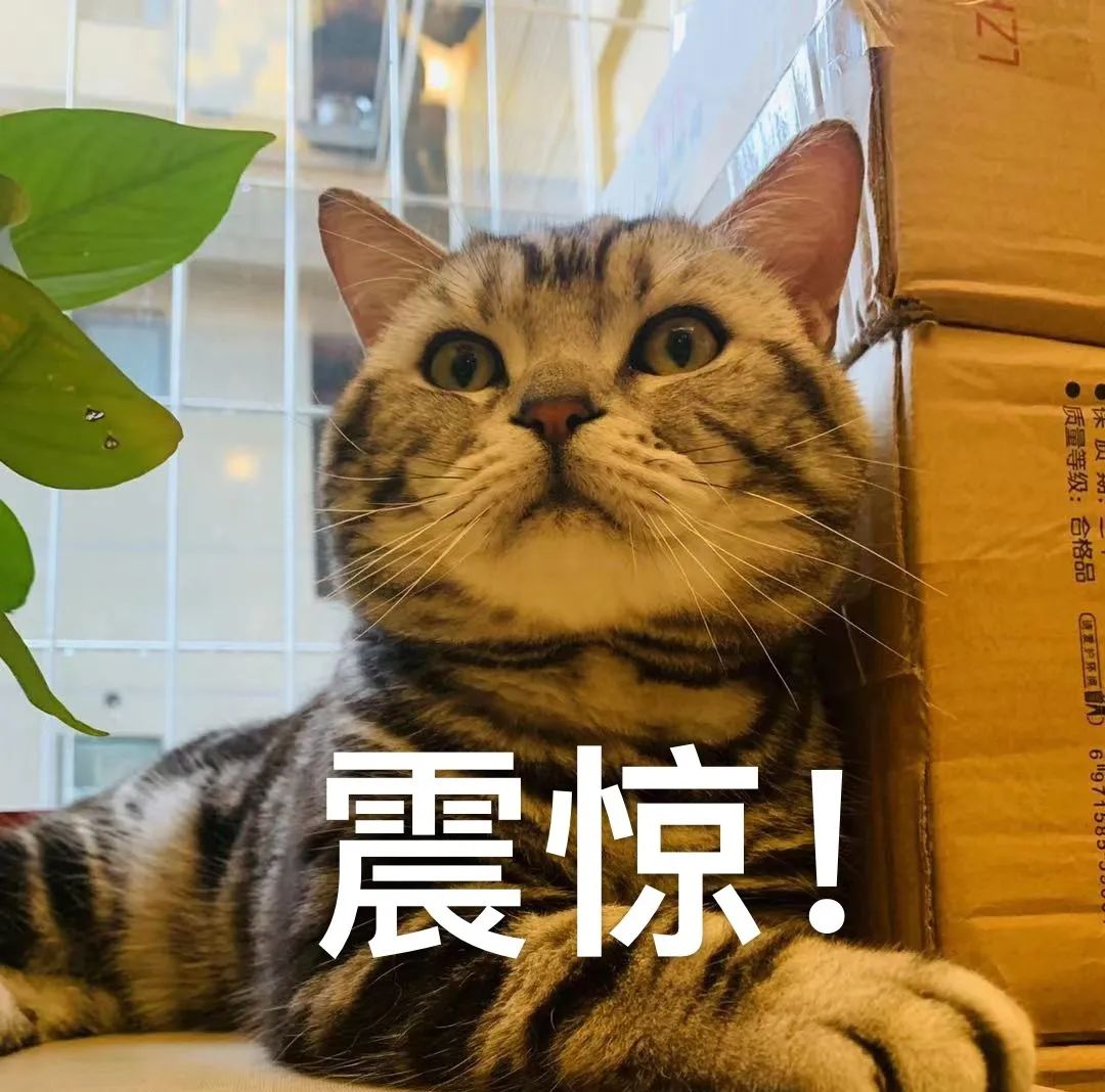 冷空气杀到！上海气温暴跌！部分航线停运！还有两个坏消息......休闲区蓝鸢梦想 - Www.slyday.coM