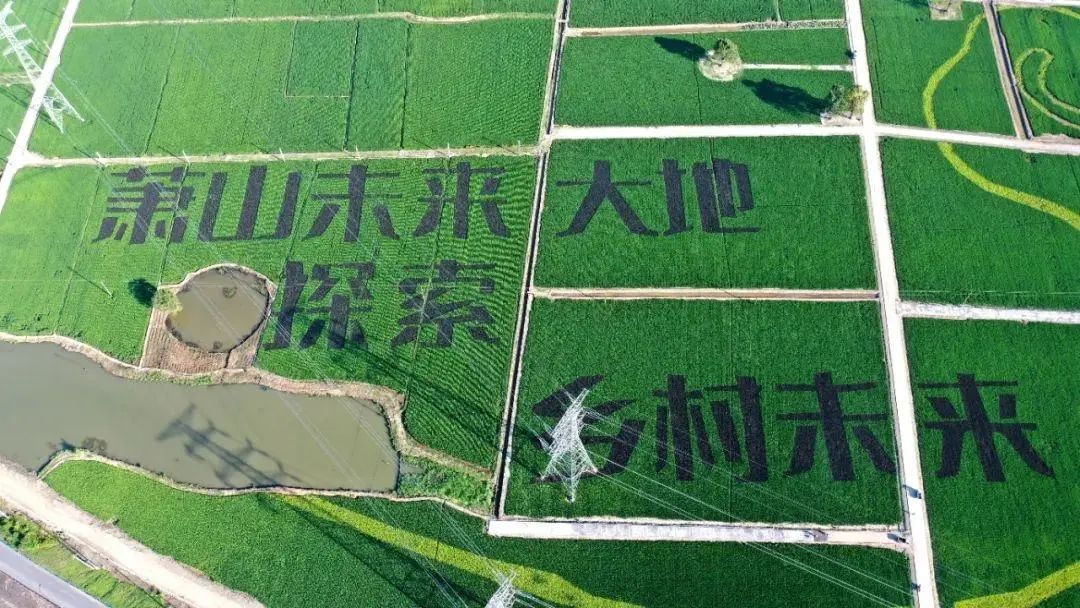 装上了“智慧大脑”的未来乡村是什么模样……今天，带你领略临浦镇“柿子”文化的别样魅力！休闲区蓝鸢梦想 - Www.slyday.coM