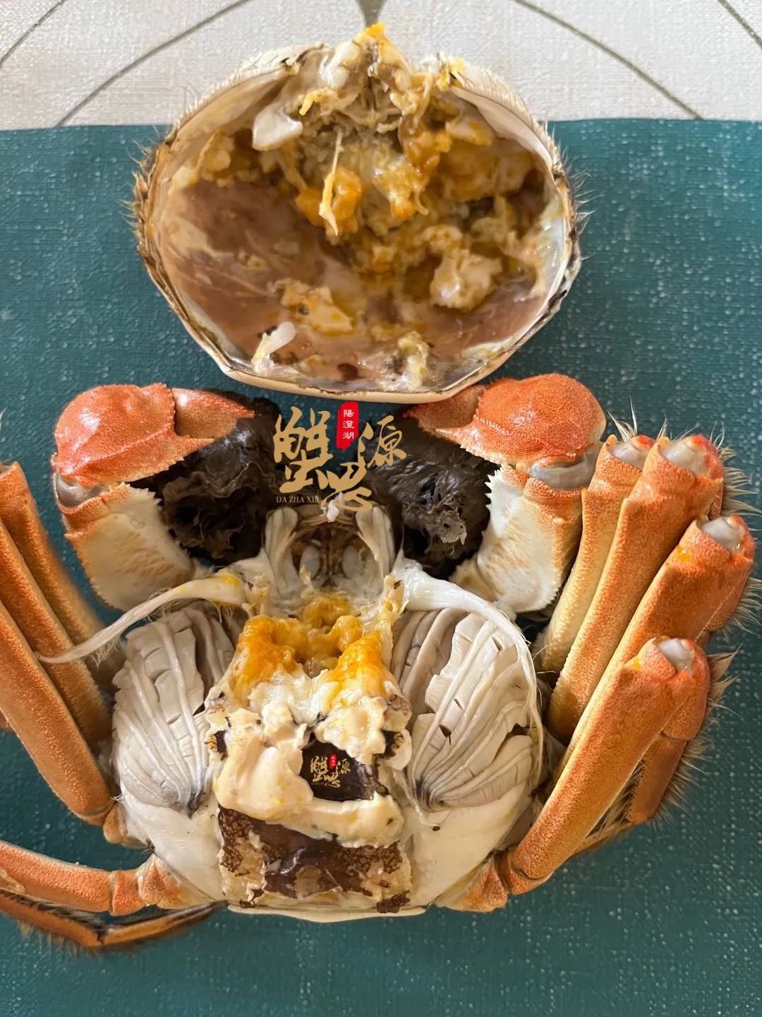 惦记了一整年！正宗阳澄湖大闸蟹，香嫩肥美，只只鲜活！休闲区蓝鸢梦想 - Www.slyday.coM