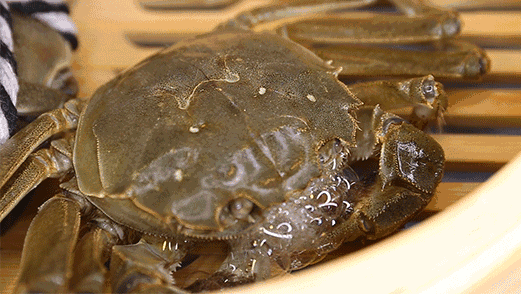 惦记了一整年！正宗阳澄湖大闸蟹，香嫩肥美，只只鲜活！休闲区蓝鸢梦想 - Www.slyday.coM