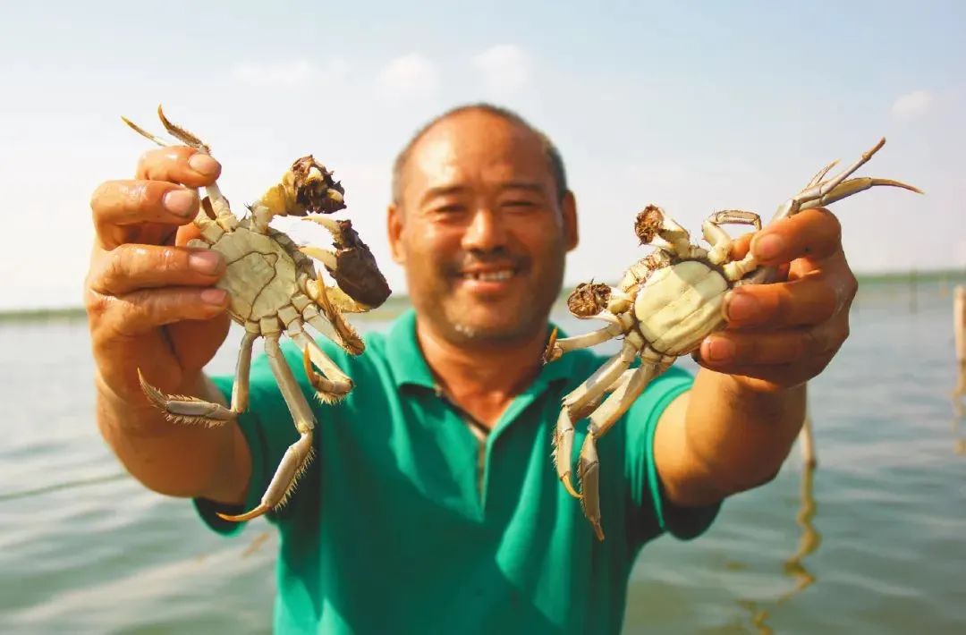 惦记了一整年！正宗阳澄湖大闸蟹，香嫩肥美，只只鲜活！休闲区蓝鸢梦想 - Www.slyday.coM