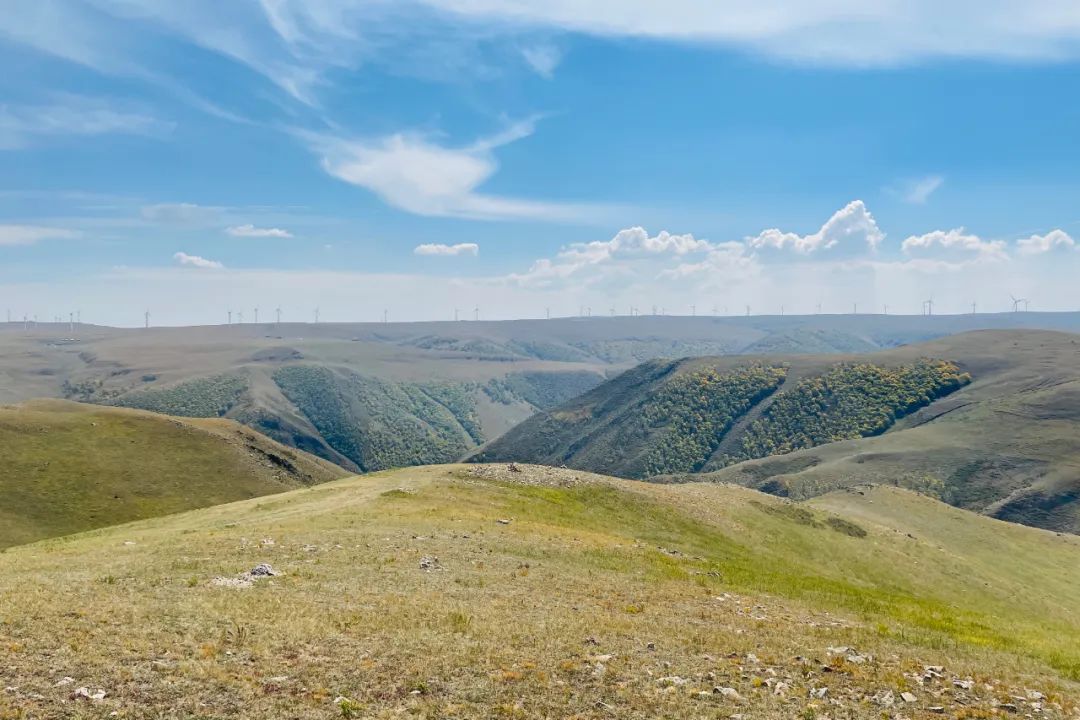 去了这座小城，我对假期没遗憾了休闲区蓝鸢梦想 - Www.slyday.coM