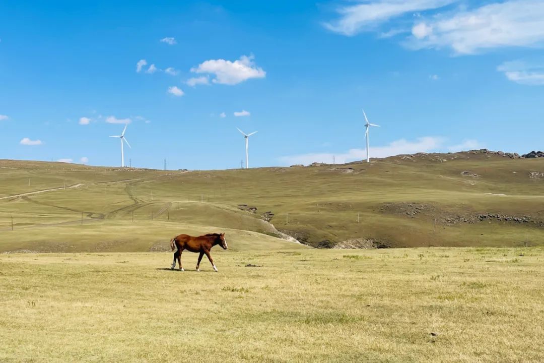 去了这座小城，我对假期没遗憾了休闲区蓝鸢梦想 - Www.slyday.coM