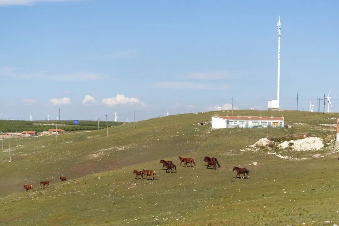 去了这座小城，我对假期没遗憾了休闲区蓝鸢梦想 - Www.slyday.coM