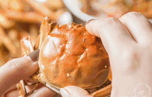 惦记了一整年！正宗阳澄湖大闸蟹，香嫩肥美，只只鲜活！休闲区蓝鸢梦想 - Www.slyday.coM