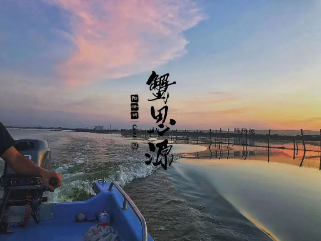 惦记了一整年！正宗阳澄湖大闸蟹，香嫩肥美，只只鲜活！休闲区蓝鸢梦想 - Www.slyday.coM