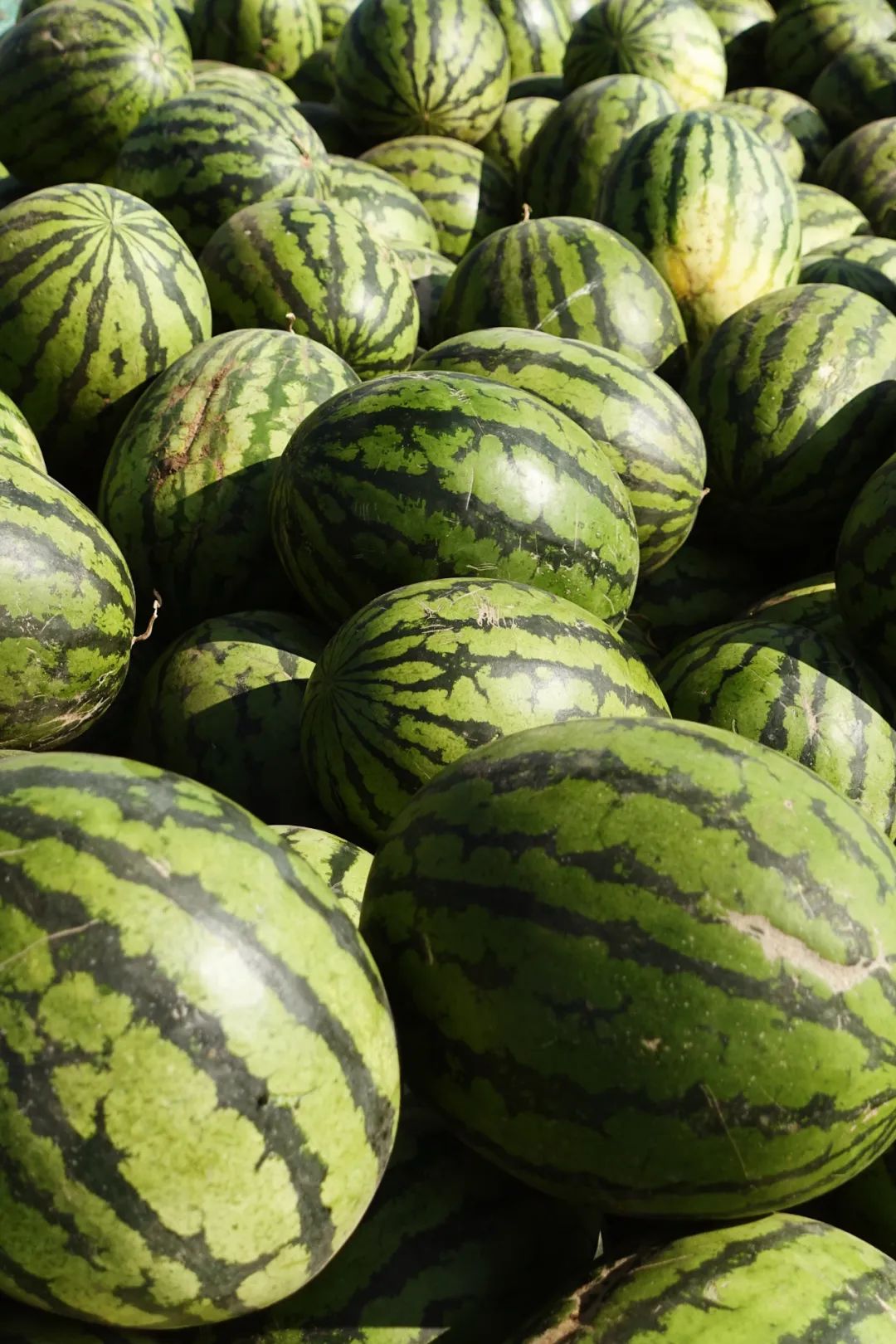 去了这座小城，我对假期没遗憾了休闲区蓝鸢梦想 - Www.slyday.coM