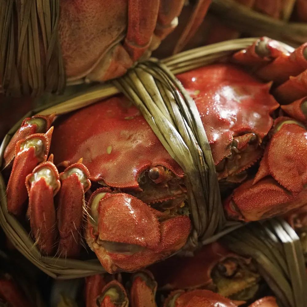 惦记了一整年！正宗阳澄湖大闸蟹，香嫩肥美，只只鲜活！休闲区蓝鸢梦想 - Www.slyday.coM