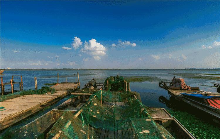 惦记了一整年！正宗阳澄湖大闸蟹，香嫩肥美，只只鲜活！休闲区蓝鸢梦想 - Www.slyday.coM