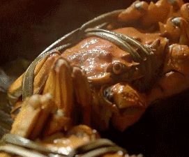 惦记了一整年！正宗阳澄湖大闸蟹，香嫩肥美，只只鲜活！休闲区蓝鸢梦想 - Www.slyday.coM