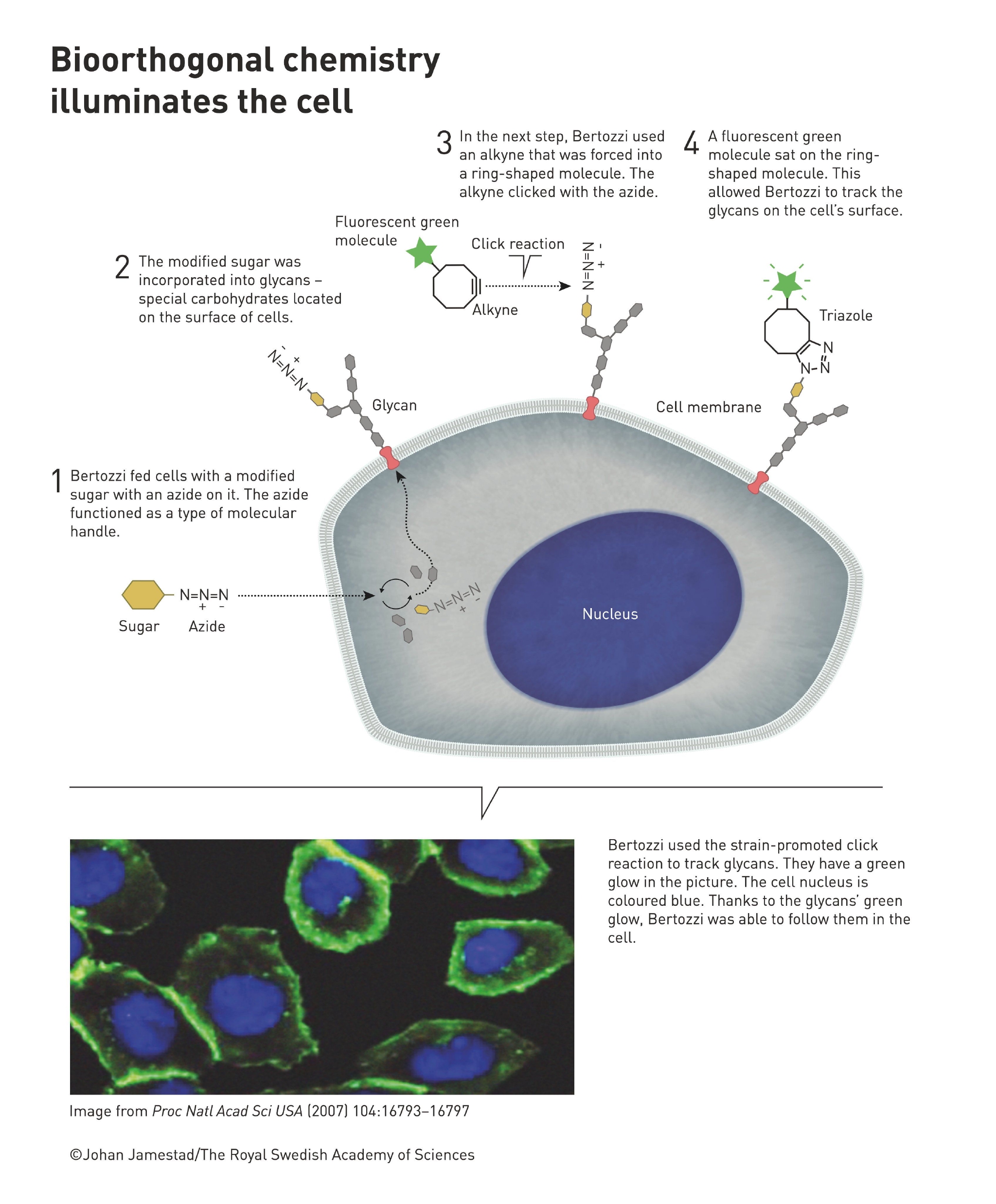seo文章标题怎么写