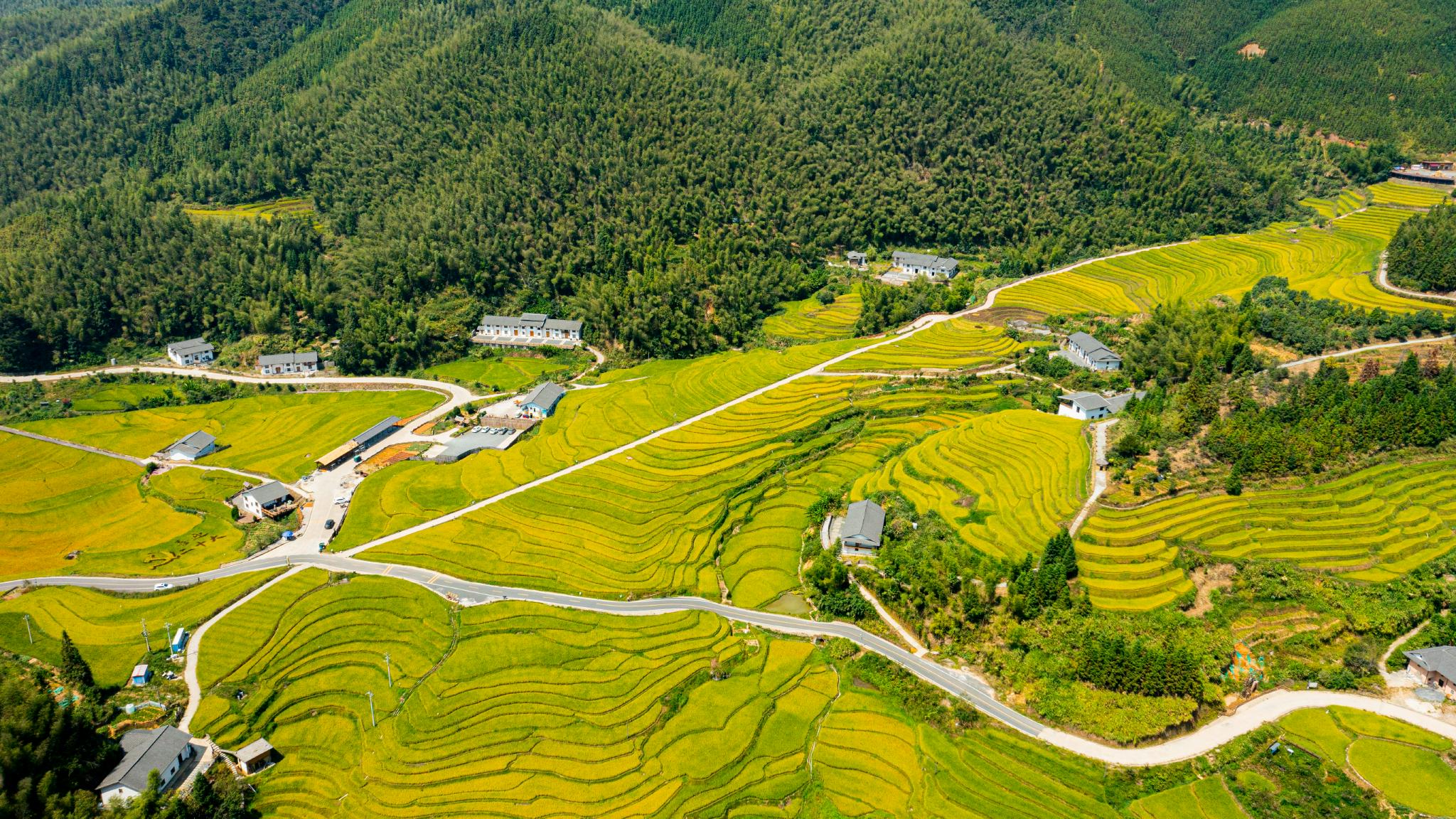 美丽的上堡梯田.