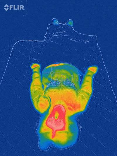 不要200+，我只花69元就买到了一条超保暖够厚实的毛毯！休闲区蓝鸢梦想 - Www.slyday.coM