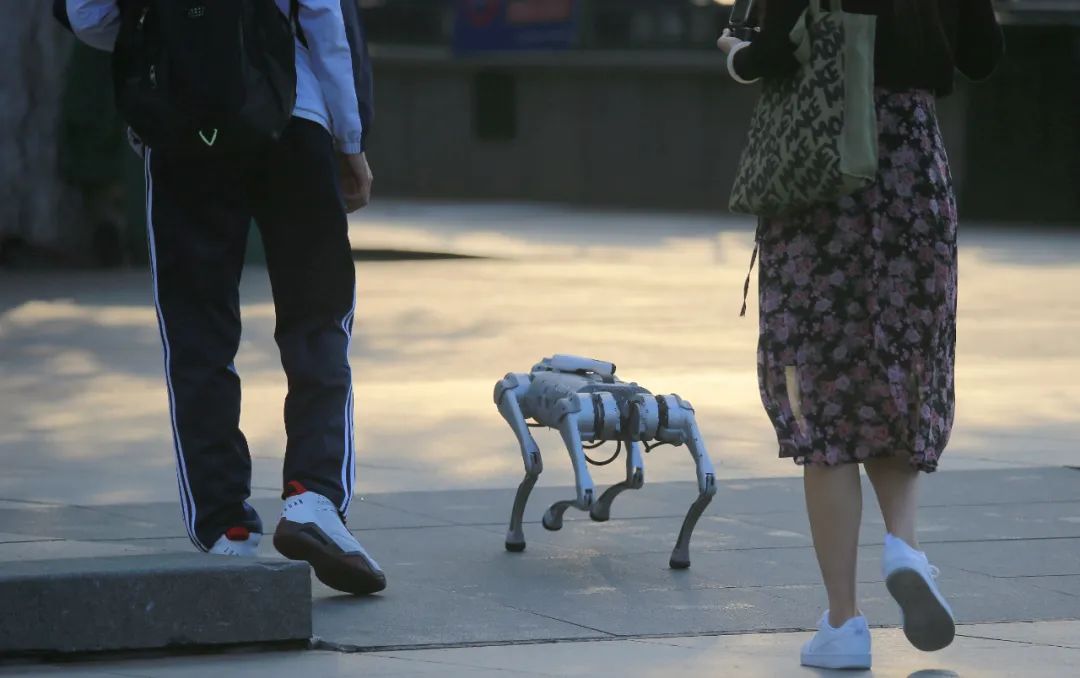 ▲2022年8月21日，黑龙江省哈尔滨市防洪胜利纪念塔广场上，一只银灰色的机械狗健步而行，引人瞩目。图/IC photo