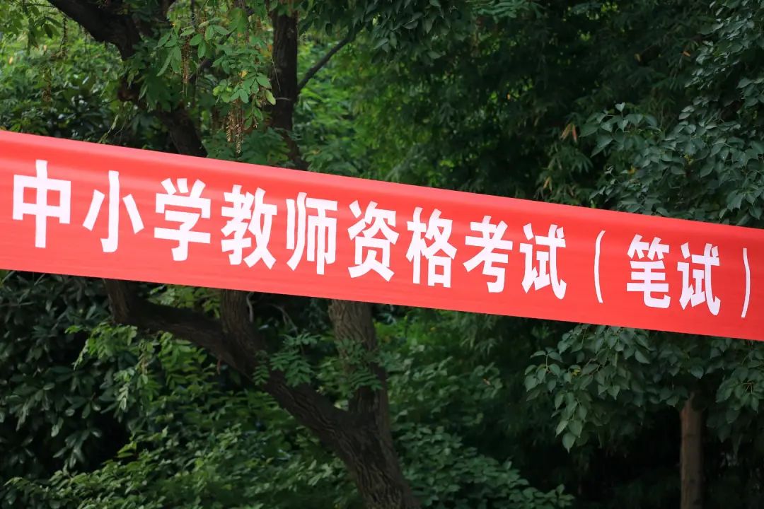 教资报考人数10年翻66倍，专家：年轻人就业追求稳定休闲区蓝鸢梦想 - Www.slyday.coM