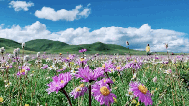 暂停！多地已发出通知！国庆不旅游的老人，恭喜你！还有这些，又全又免费....休闲区蓝鸢梦想 - Www.slyday.coM