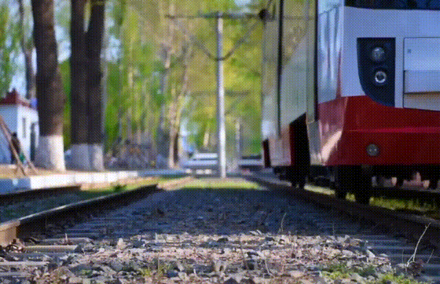 暂停！多地已发出通知！国庆不旅游的老人，恭喜你！还有这些，又全又免费....休闲区蓝鸢梦想 - Www.slyday.coM