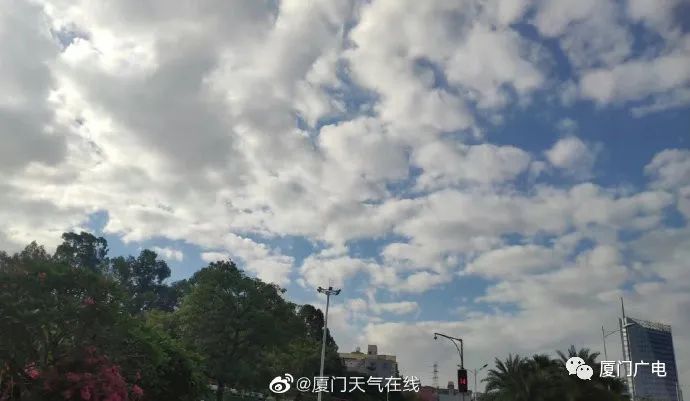 今起，降！冷空气抵达！厦门发布黄色预警，降温、大风都来了……休闲区蓝鸢梦想 - Www.slyday.coM