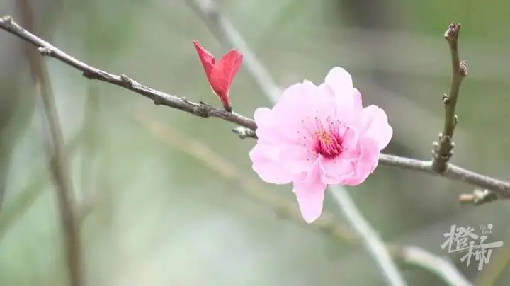 裙子在夏天，鞋子在冬天！杭州姑娘被天气搞懵了，今天还有人穿棉衣休闲区蓝鸢梦想 - Www.slyday.coM