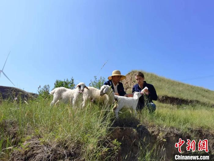 “5G炼焦”、塞外牧羊、汾河观鸟 英国小伙深度体验山西_手机新浪网