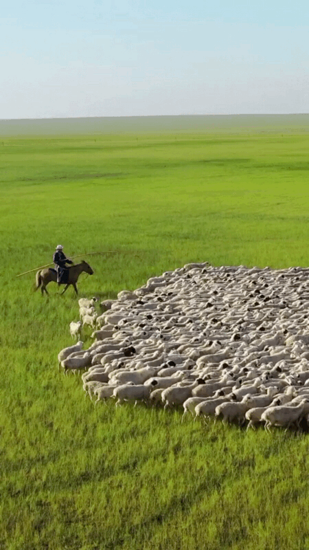 暂停！多地已发出通知！国庆不旅游的老人，恭喜你！还有这些，又全又免费....休闲区蓝鸢梦想 - Www.slyday.coM