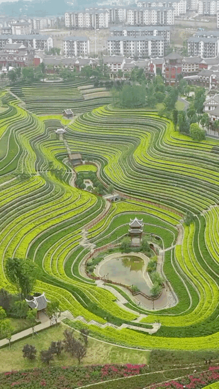 暂停！多地已发出通知！国庆不旅游的老人，恭喜你！还有这些，又全又免费....休闲区蓝鸢梦想 - Www.slyday.coM