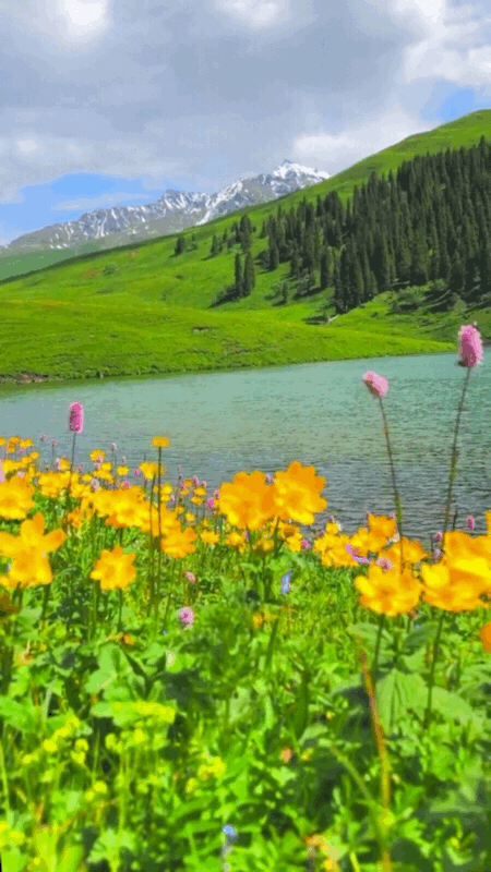 暂停！多地已发出通知！国庆不旅游的老人，恭喜你！还有这些，又全又免费....休闲区蓝鸢梦想 - Www.slyday.coM