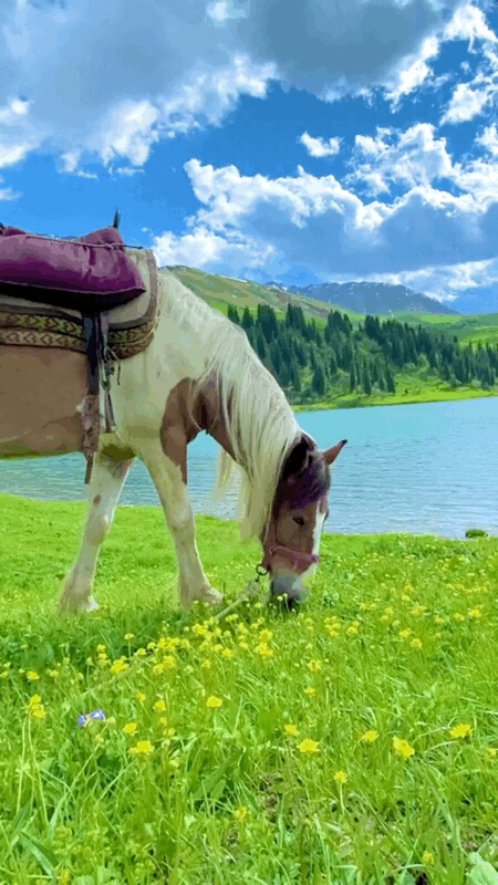 暂停！多地已发出通知！国庆不旅游的老人，恭喜你！还有这些，又全又免费....休闲区蓝鸢梦想 - Www.slyday.coM