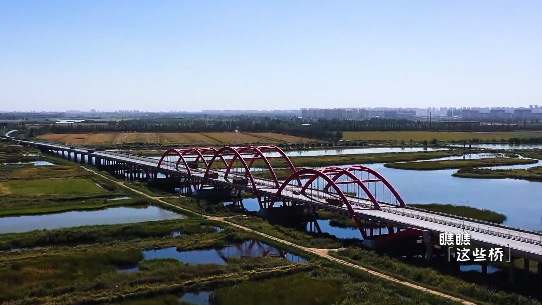 银川的“桥”有这么多故事，你还不知道？休闲区蓝鸢梦想 - Www.slyday.coM