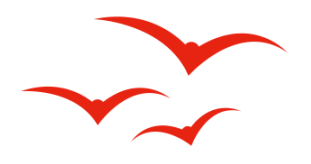 这是给祖国最美的告白！“爱我中华 爱我爱华”烟台爱华双语学校迎国庆系列活动精彩上演休闲区蓝鸢梦想 - Www.slyday.coM