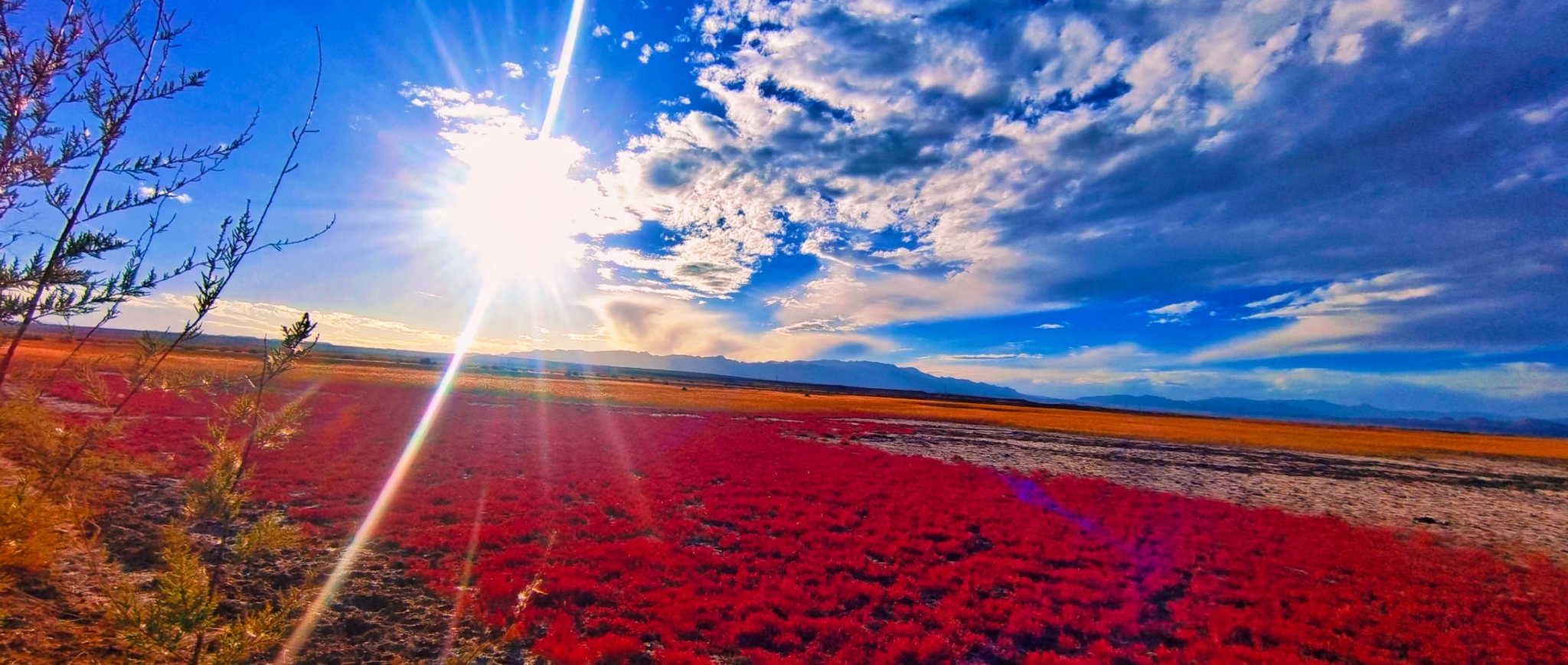 可鲁克湖：湿地秋天美如画休闲区蓝鸢梦想 - Www.slyday.coM