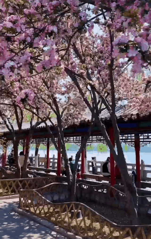 暂停！多地已发出通知！国庆不旅游的老人，恭喜你！还有这些，又全又免费....休闲区蓝鸢梦想 - Www.slyday.coM