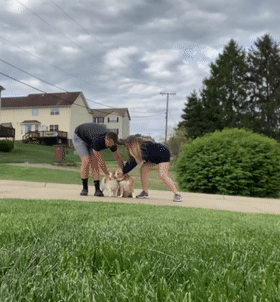 男女主人分开跑，边牧会选择跟谁？噗哈哈哈哈哈这也太难为狗了！休闲区蓝鸢梦想 - Www.slyday.coM