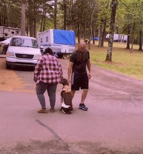 男女主人分开跑，边牧会选择跟谁？噗哈哈哈哈哈这也太难为狗了！休闲区蓝鸢梦想 - Www.slyday.coM