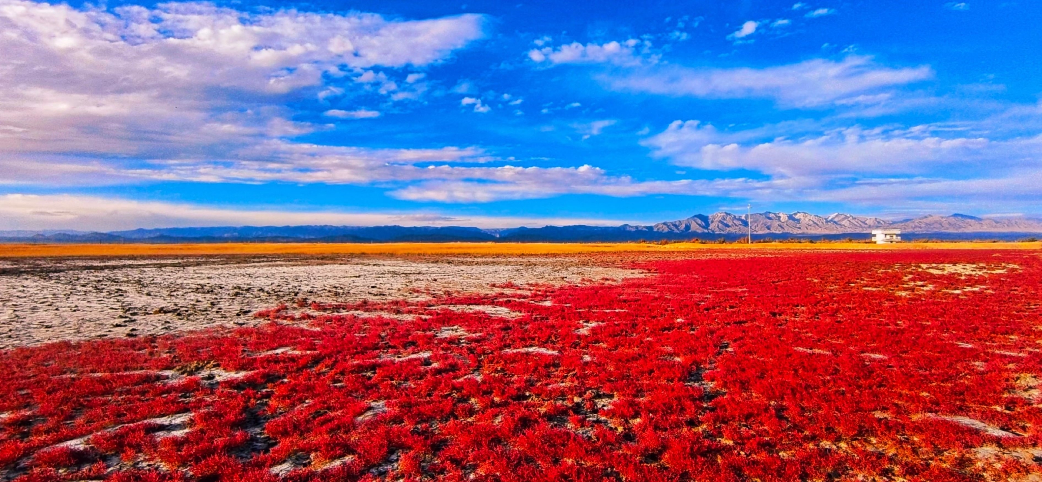可鲁克湖：湿地秋天美如画休闲区蓝鸢梦想 - Www.slyday.coM