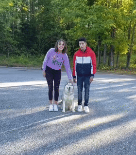 男女主人分开跑，边牧会选择跟谁？噗哈哈哈哈哈这也太难为狗了！休闲区蓝鸢梦想 - Www.slyday.coM